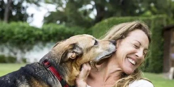 配资头条官网 狗狗扑你不停，千年秘密藏基因，你家狗也这么黏？