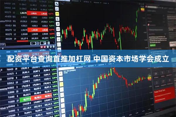 配资平台查询首推加杠网 中国资本市场学会成立