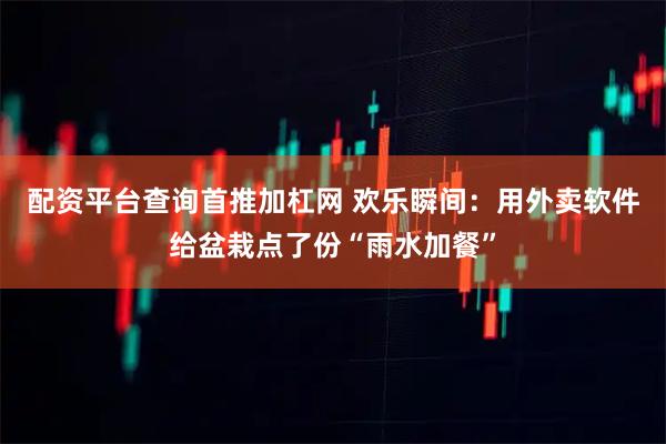配资平台查询首推加杠网 欢乐瞬间：用外卖软件给盆栽点了份“雨水加餐”